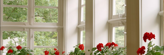 Timber windows